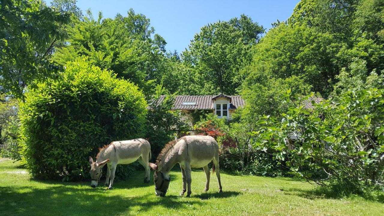 Le Moulin De Pensol - Gites Екстериор снимка